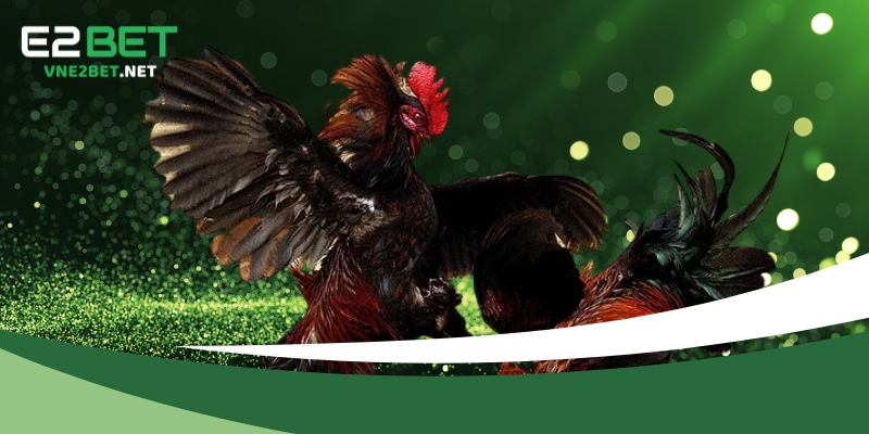 Điều khoản điều kiện để nhận được khuyến mãi E2BET