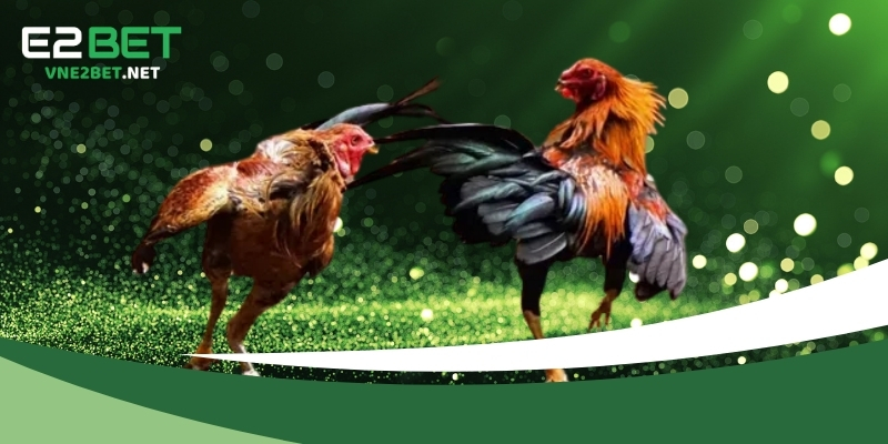 Đôi nét về quy định miễn trừ trách nhiệm E2BET