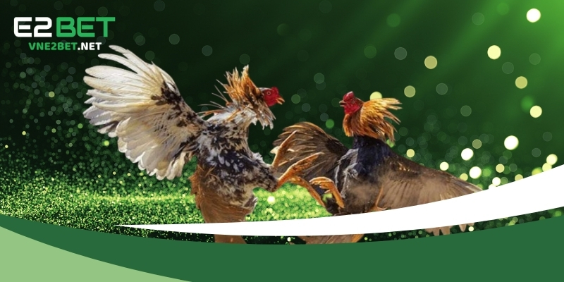 Nguyên nhân dẫn tới việc link vào E2BET bị chặn?